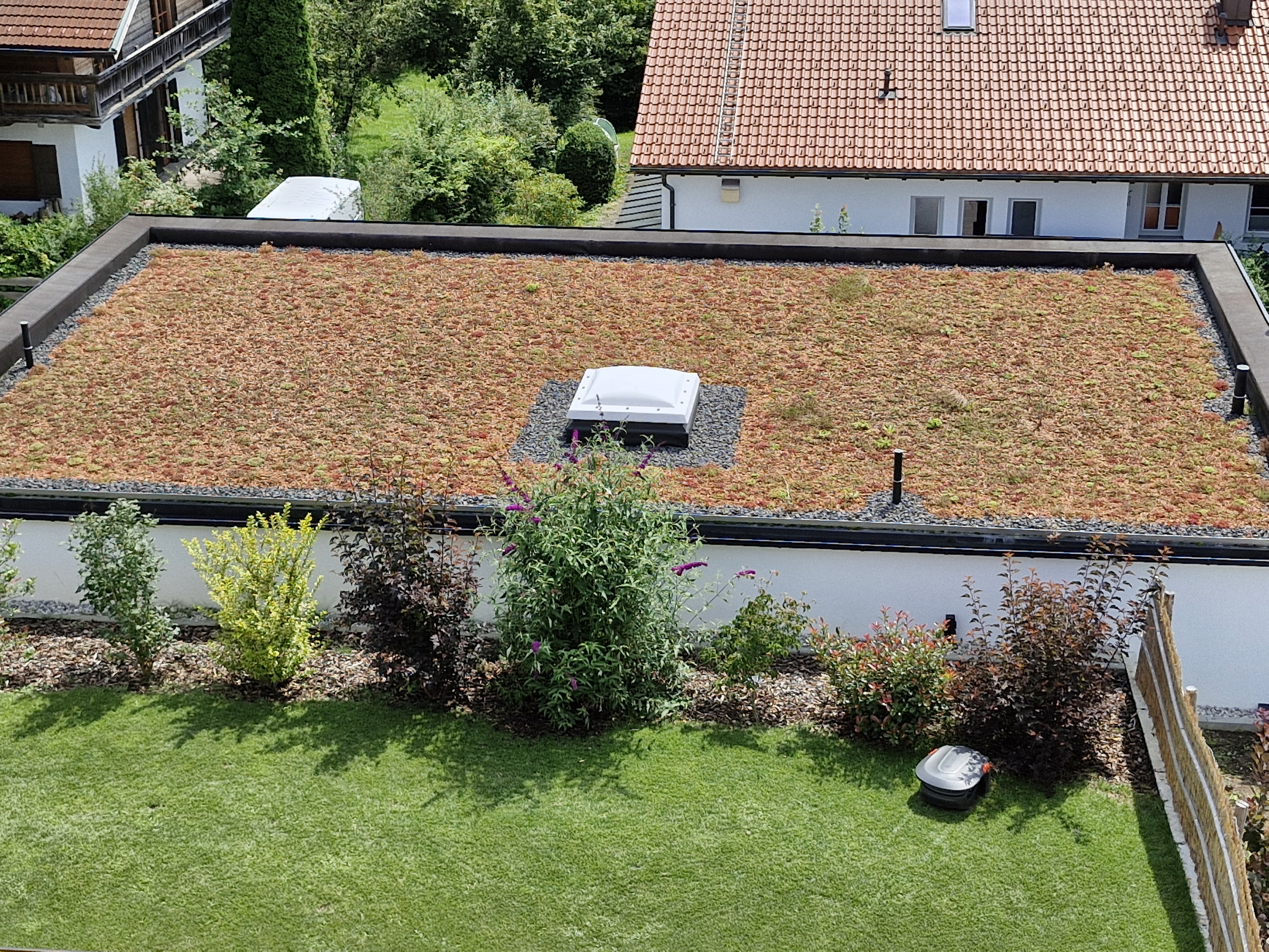 Dachbegrünung